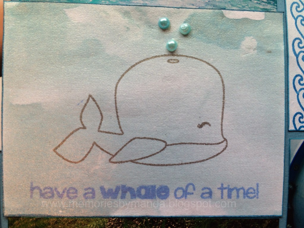 Whale Layout Whlae card 3